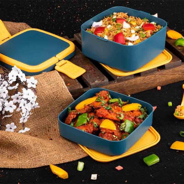 Buy Tiffins & Lunch Box - Bento Lunchbox - Blue at Vaaree online