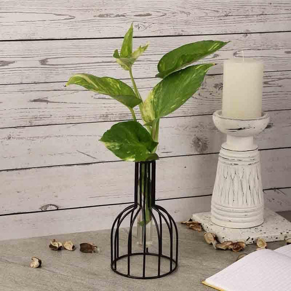 Vase - Dome Wired Testube Planter