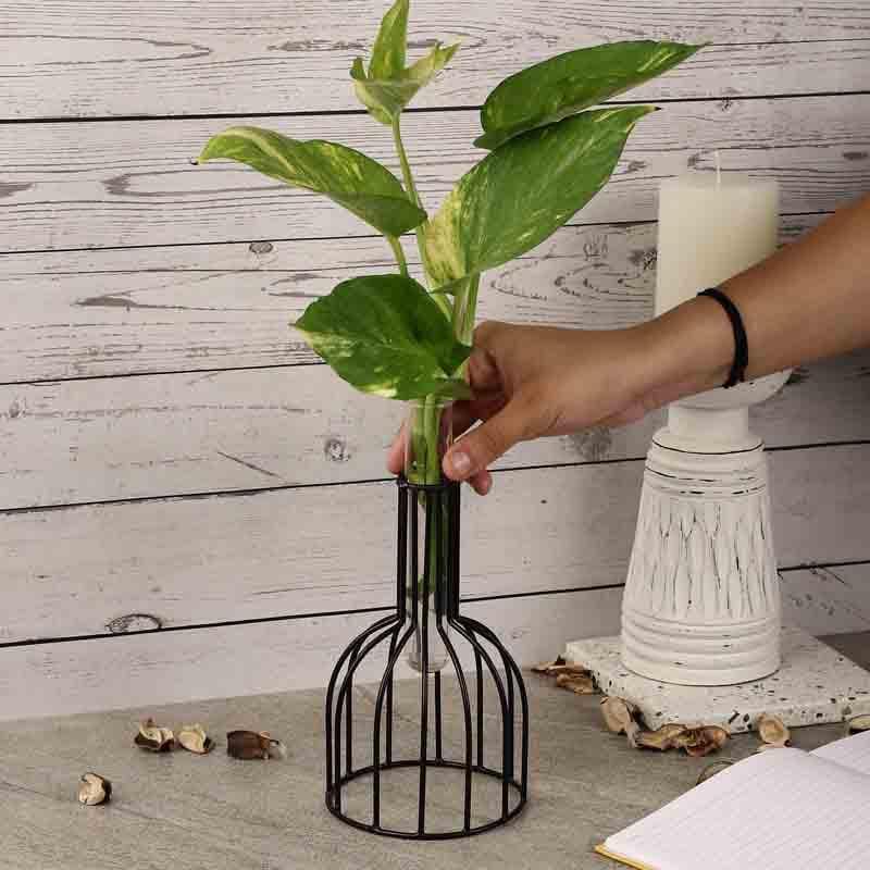 Buy Dome Wired Testube Planter Vase from Vaaree