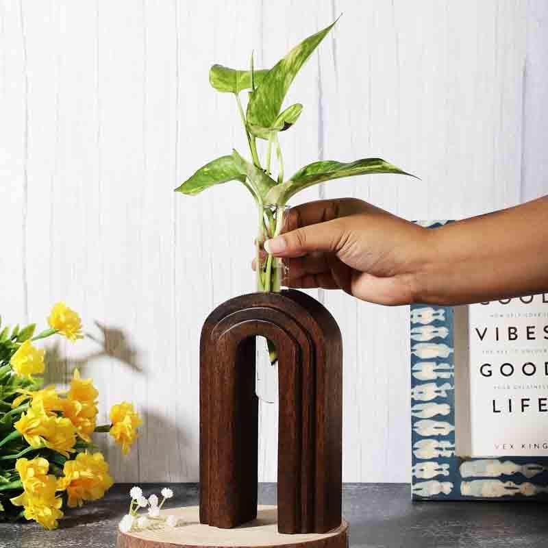 Buy Inverted U Testube Planter - Dark Brown Vase from Vaaree