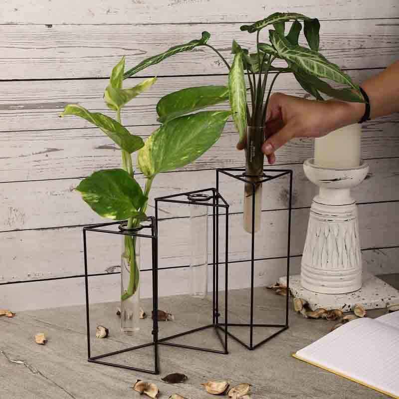 Buy Trigonometry Testube Planter Vase from Vaaree