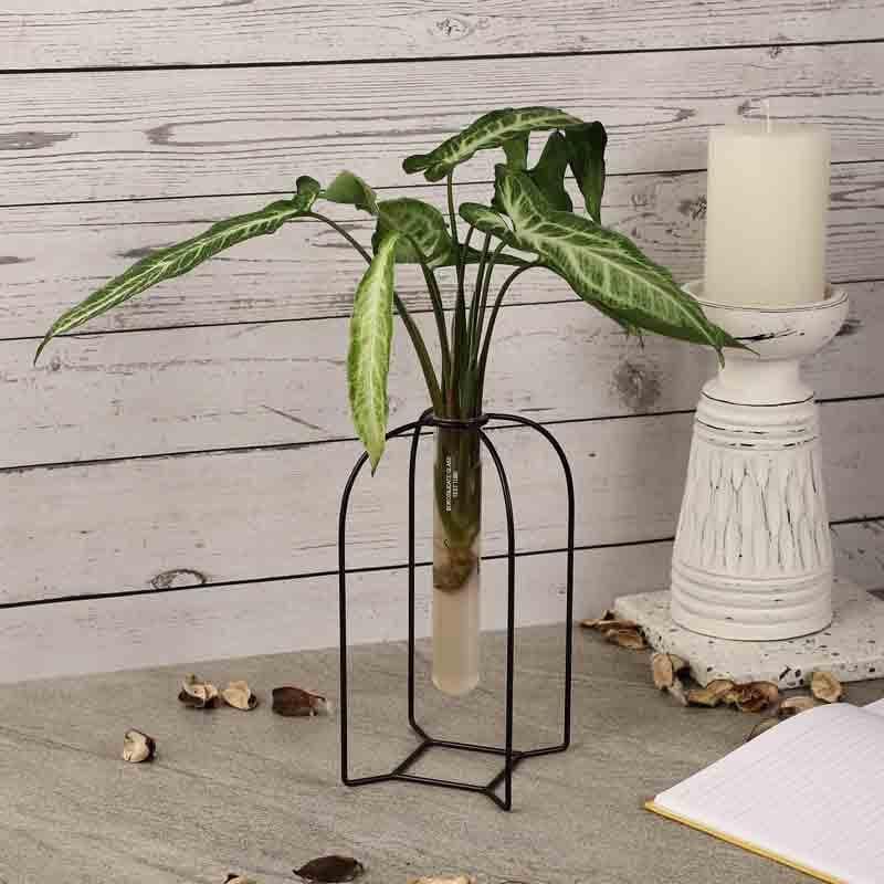 Buy Zenith Testube Planter - Black Vase from Vaaree