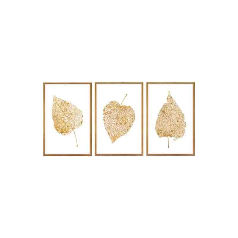 Wall Art & Paintings - Big Leaf Wall Art - Set Of Three