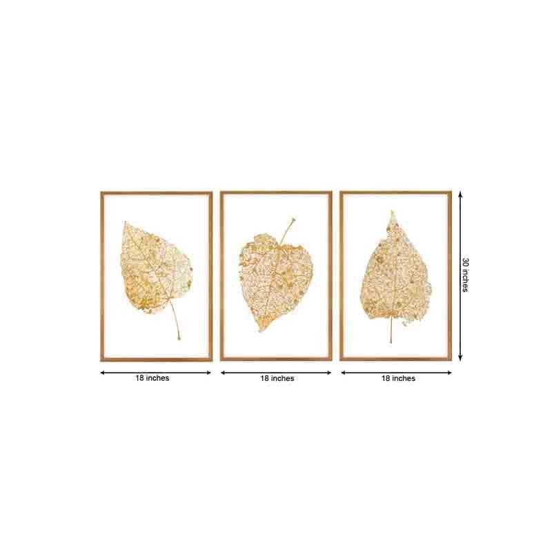 Wall Art & Paintings - Big Leaf Wall Art - Set Of Three