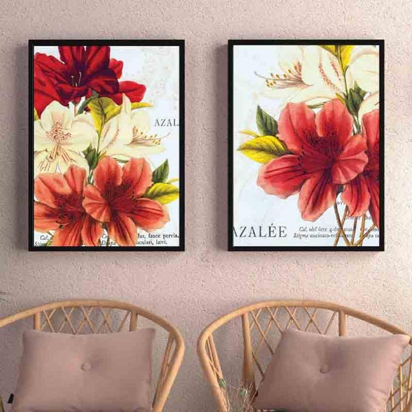 Wall Art & Paintings - China Rose Wall Art - Set Of Two