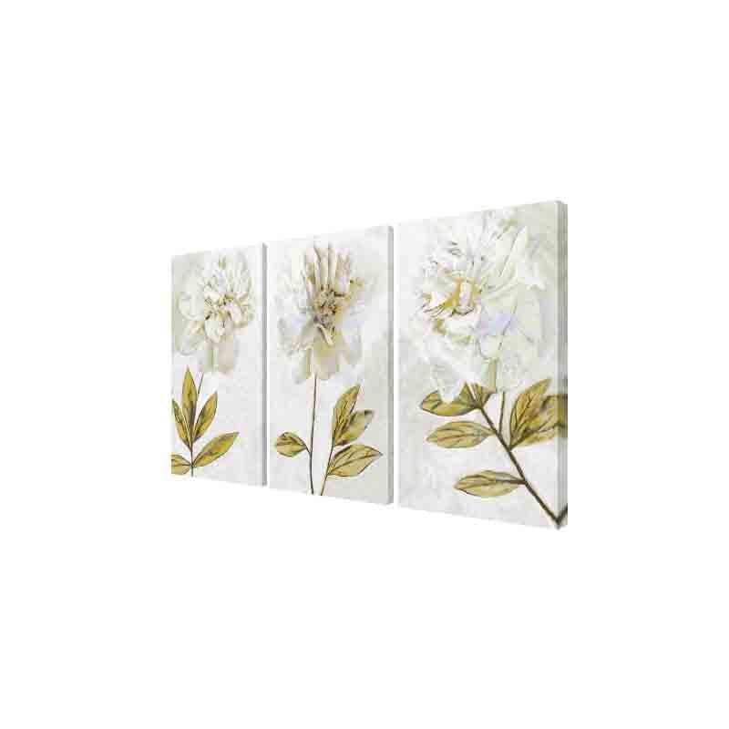 Wall Art & Paintings - Dandelion Wall Art - Set Of Three