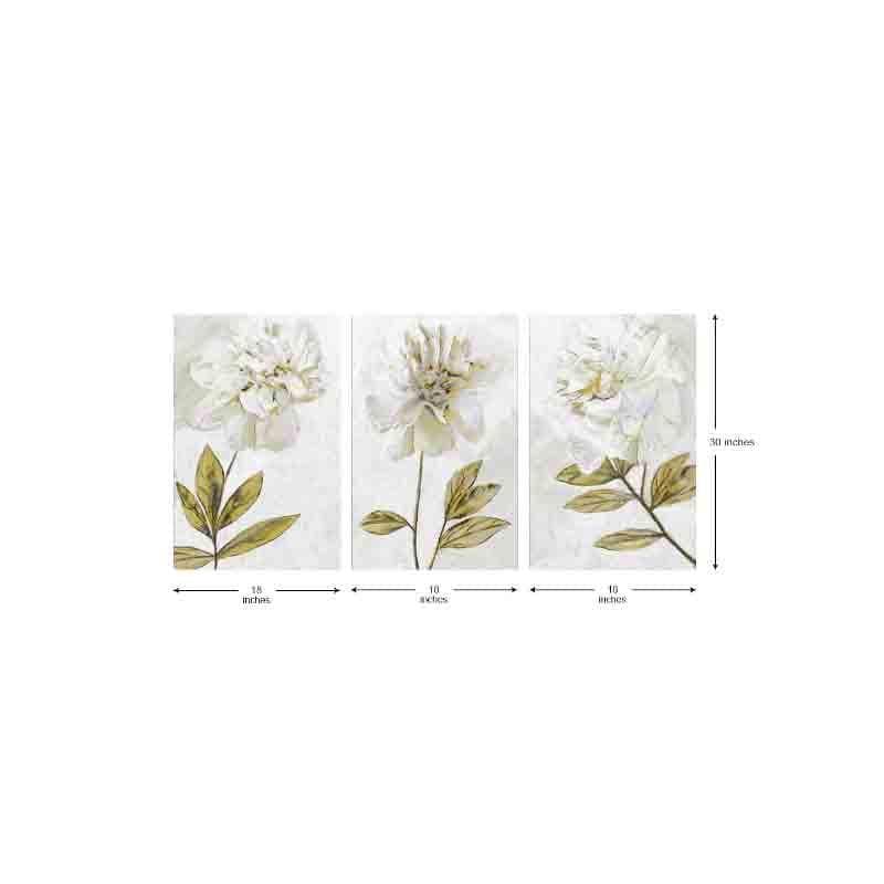 Wall Art & Paintings - Dandelion Wall Art - Set Of Three