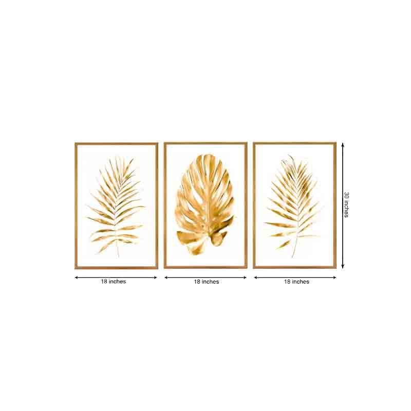 Wall Art & Paintings - Gold Bay Framed Wall Art - Set Of Three