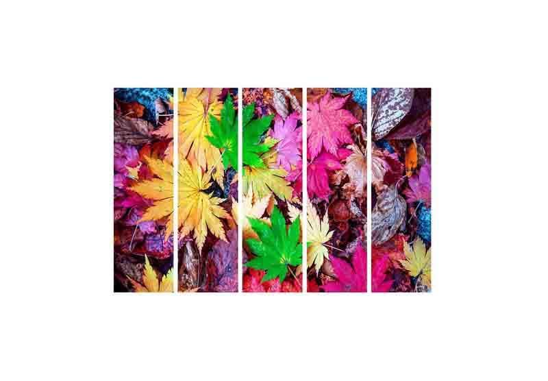 Wall Art & Paintings - Kaleidoscopic Leaves Wall Art - Set Of Five