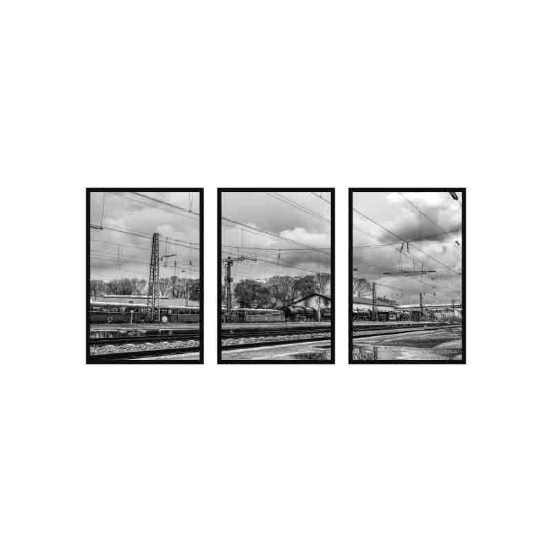 Buy Lifelines Wall Art - Set Of Three Wall Art & Paintings from Vaaree