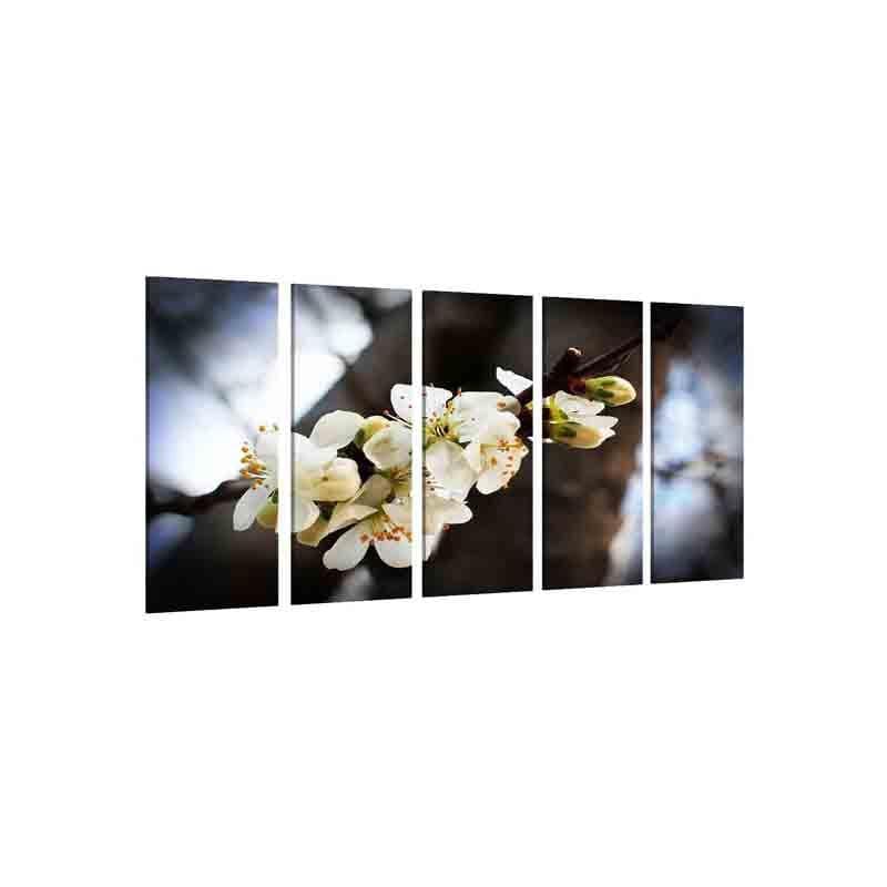 Wall Art & Paintings - Lillies Wall Art - Set Of Five