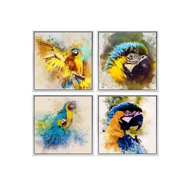 Wall Art & Paintings - Parrots Wall Art - Set Of Four