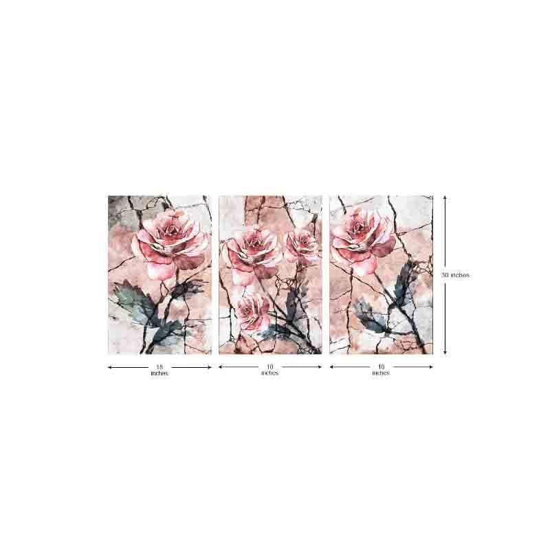 Wall Art & Paintings - Pink Rose Wall Art - Set Of Three