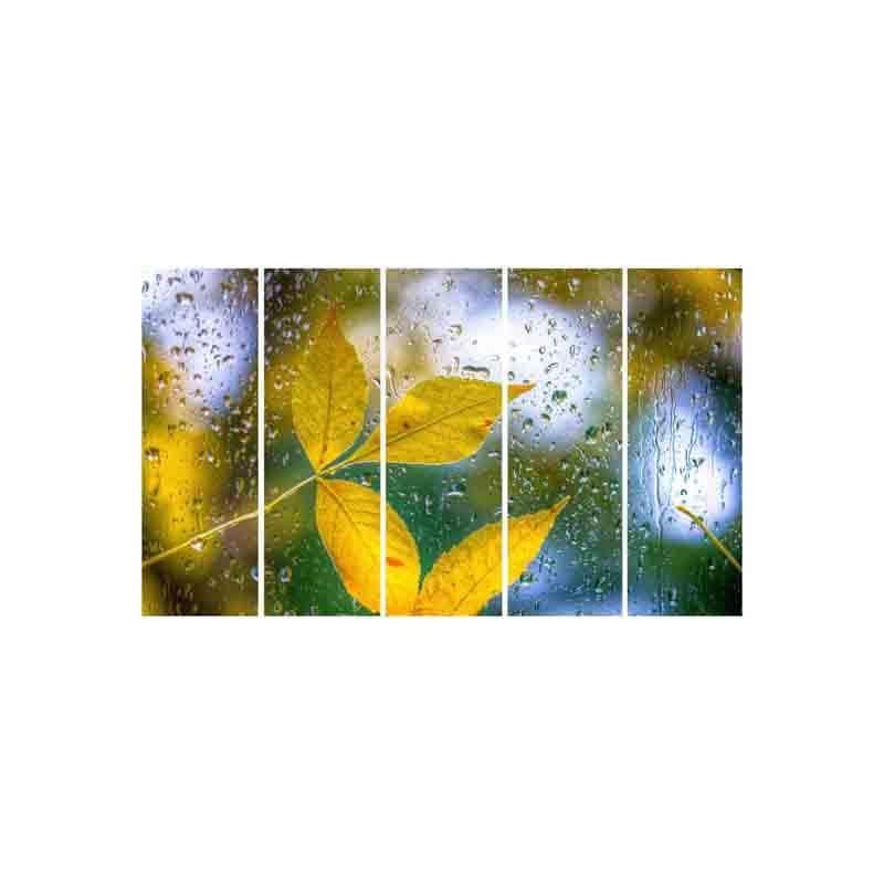 Wall Art & Paintings - Raindrops Wall Art - Set Of Five