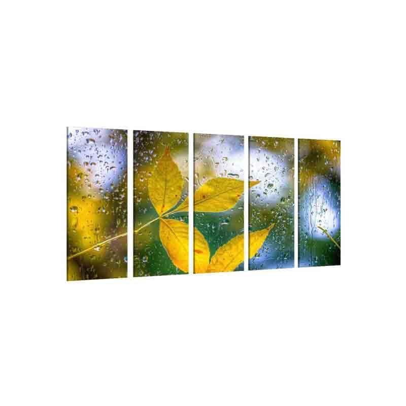 Wall Art & Paintings - Raindrops Wall Art - Set Of Five