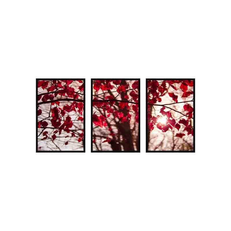 Wall Art & Paintings - Red Leaves Wall Art - Set Of Three