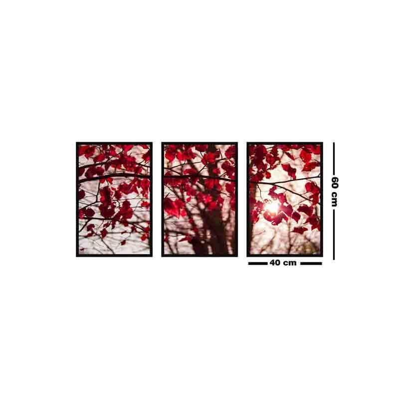 Wall Art & Paintings - Red Leaves Wall Art - Set Of Three