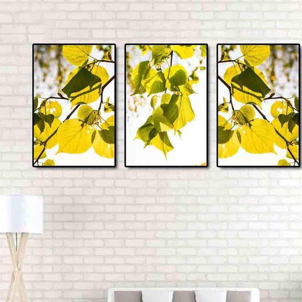 Wall Art & Paintings - Sunkissed Wall Art - Set Of Three