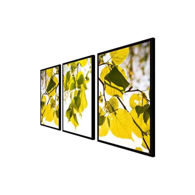 Buy Wall Art & Paintings - Sunkissed Wall Art - Set Of Three at Vaaree online