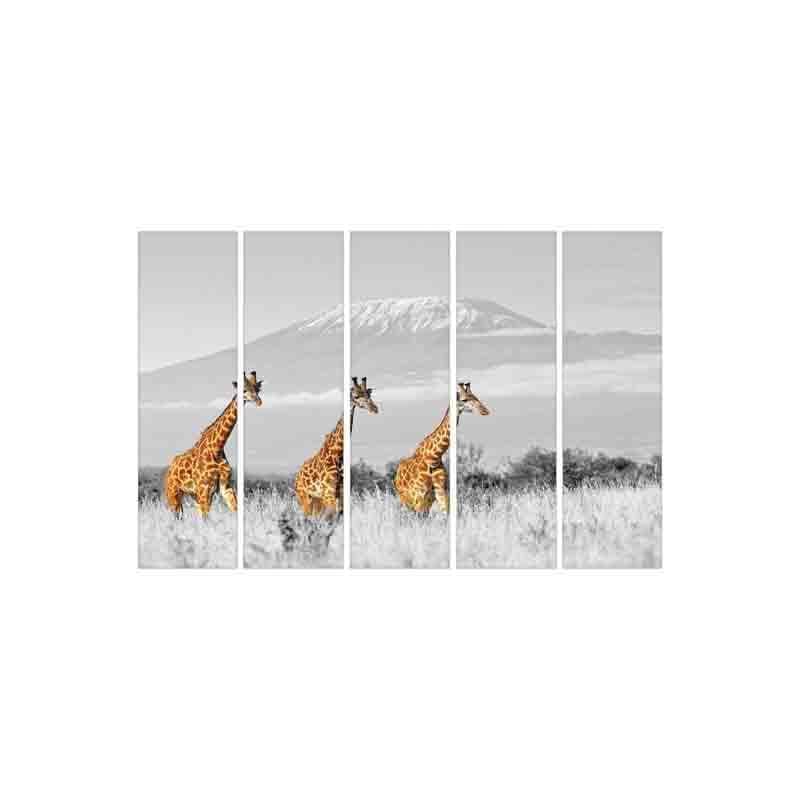 Wall Art & Paintings - Wild Giraffe Wall Art - Set Of Five