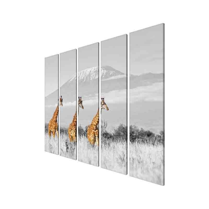 Wall Art & Paintings - Wild Giraffe Wall Art - Set Of Five