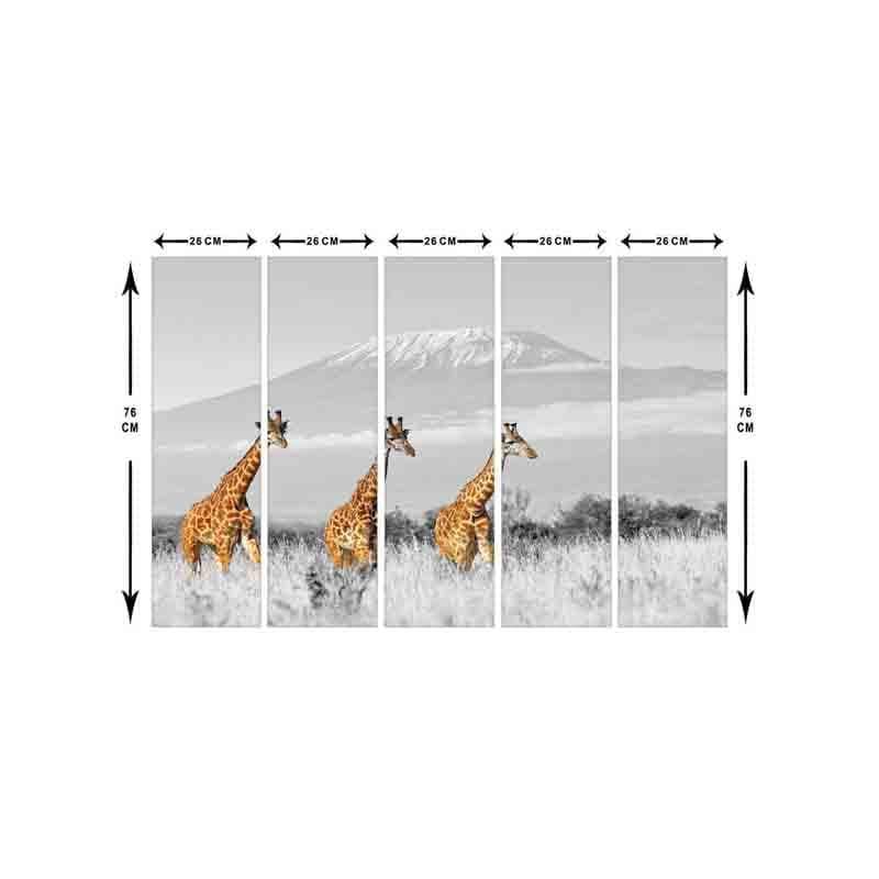 Wall Art & Paintings - Wild Giraffe Wall Art - Set Of Five